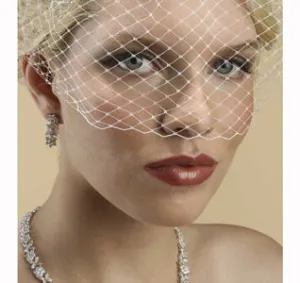 French Net Vintage Birdcage Visor Bridal Veil