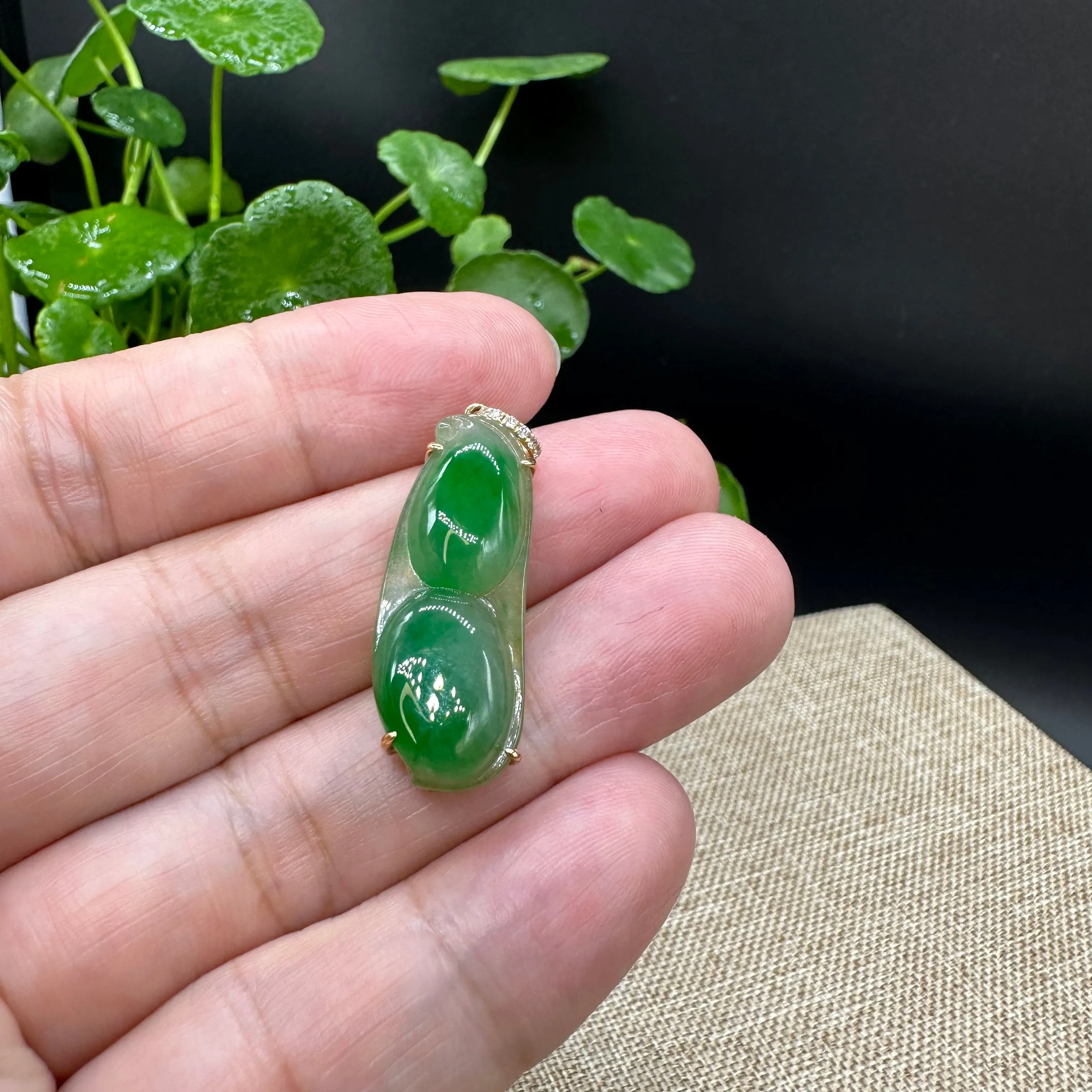 High end Genuine Burmese Ice Green Jadeite Pendant with 18k Yellow Gold Bail