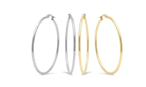 Set of 2 Stainless Steel and Gold Hoop Earrings