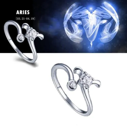 Silver Zodiac Adjustable Rings