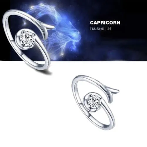 Silver Zodiac Adjustable Rings