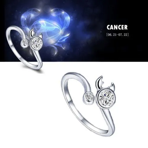 Silver Zodiac Adjustable Rings