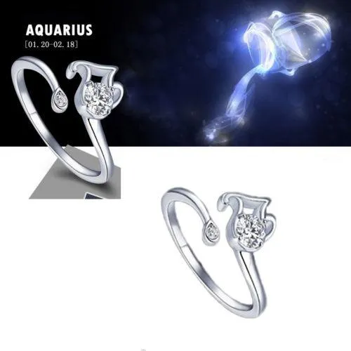 Silver Zodiac Adjustable Rings